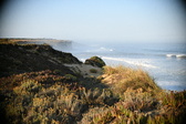 Enlarge photo 489