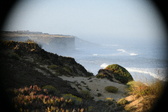 Enlarge photo 490