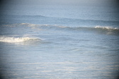 Enlarge photo 491