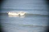 Enlarge photo 492