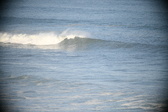 Enlarge photo 493