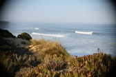 Enlarge photo 494