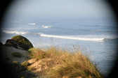 Enlarge photo 497