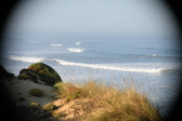 Enlarge photo 498