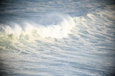 Enlarge photo 501