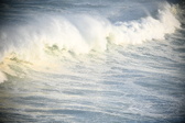 Enlarge photo 502