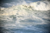 Enlarge photo 503