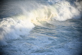 Enlarge photo 505