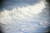Enlarge photo 507
