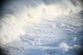 Enlarge photo 509
