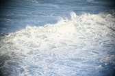 Enlarge photo 511