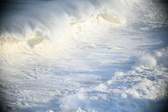 Enlarge photo 514