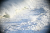 Enlarge photo 515