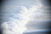 Enlarge photo 518