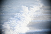 Enlarge photo 519