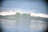 Enlarge photo 521