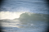 Enlarge photo 523