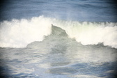 Enlarge photo 526
