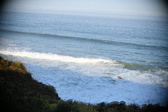Enlarge photo 528