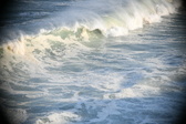 Enlarge photo 534