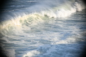 Enlarge photo 535