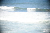 Enlarge photo 542