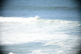 Enlarge photo 547