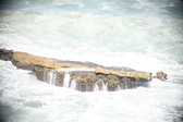 Enlarge photo 549