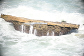 Enlarge photo 550
