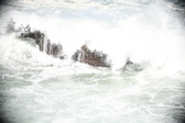 Enlarge photo 551