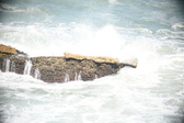 Enlarge photo 553