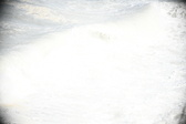 Enlarge photo 554