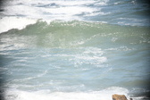 Enlarge photo 555