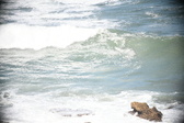 Enlarge photo 557