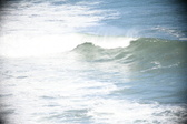 Enlarge photo 559