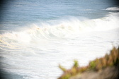 Enlarge photo 561