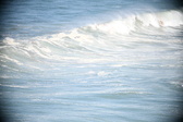 Enlarge photo 564