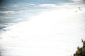 Enlarge photo 568