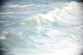 Enlarge photo 570