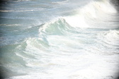 Enlarge photo 571