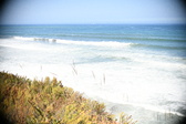 Enlarge photo 574