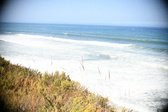 Enlarge photo 575