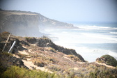 Enlarge photo 585