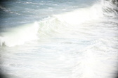 Enlarge photo 588