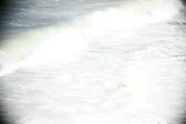 Enlarge photo 589