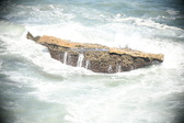 Enlarge photo 591