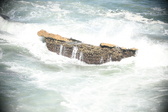 Enlarge photo 592