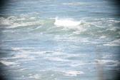 Enlarge photo 596