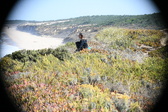 Enlarge photo 601
