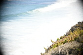 Enlarge photo 623
